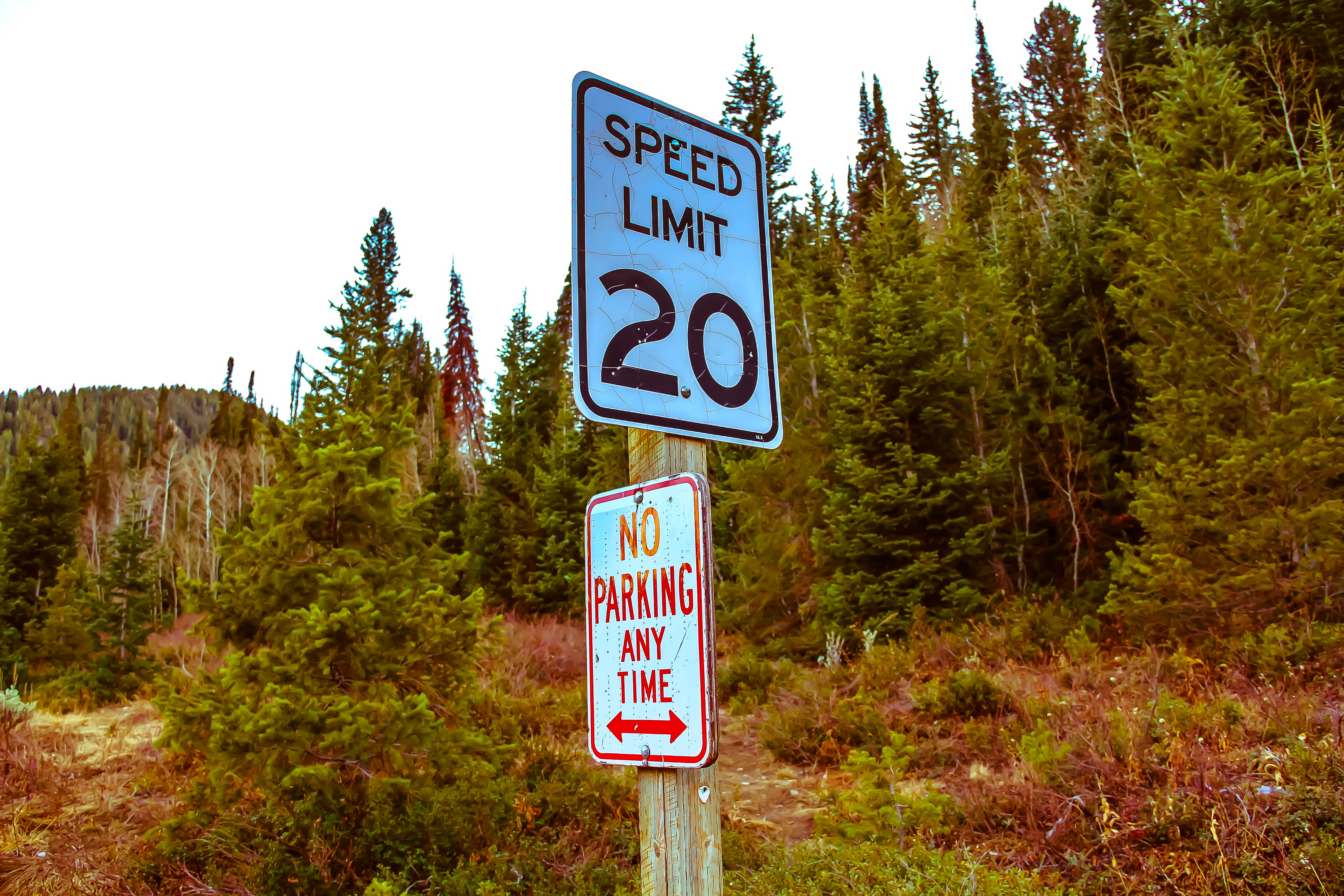Speed Limit and No Parking Signs